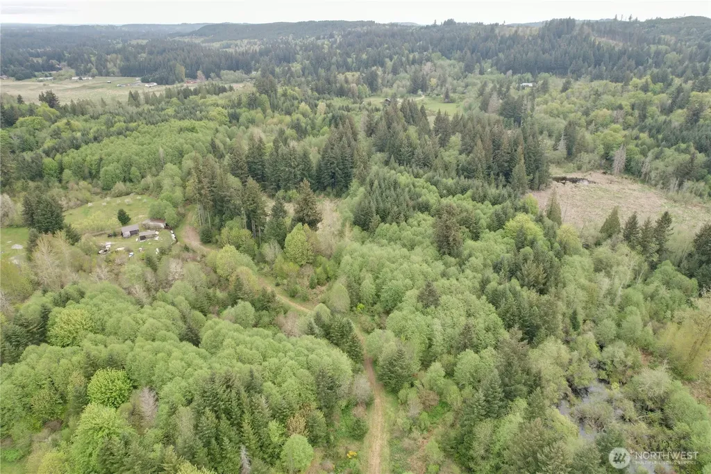 0 40 Acres 143rd Avenue SE Tenino WA 98589