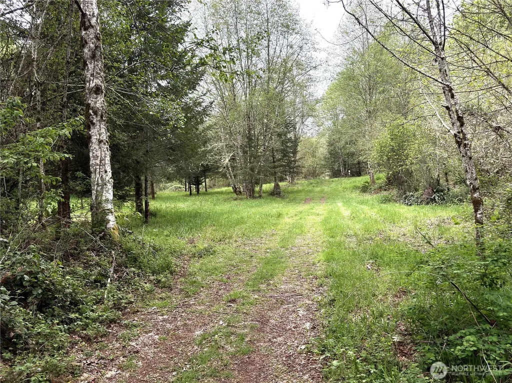 0 40 Acres 143rd Avenue SE Tenino WA 98589