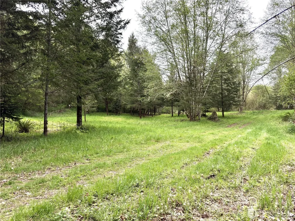 0 40 Acres 143rd Avenue SE Tenino WA 98589