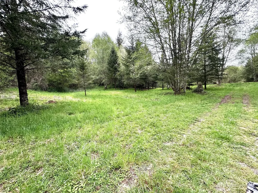 0 40 Acres 143rd Avenue SE Tenino WA 98589