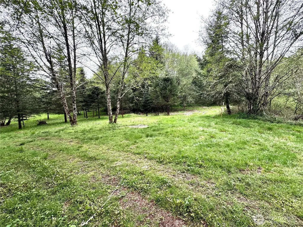 0 40 Acres 143rd Avenue SE Tenino WA 98589