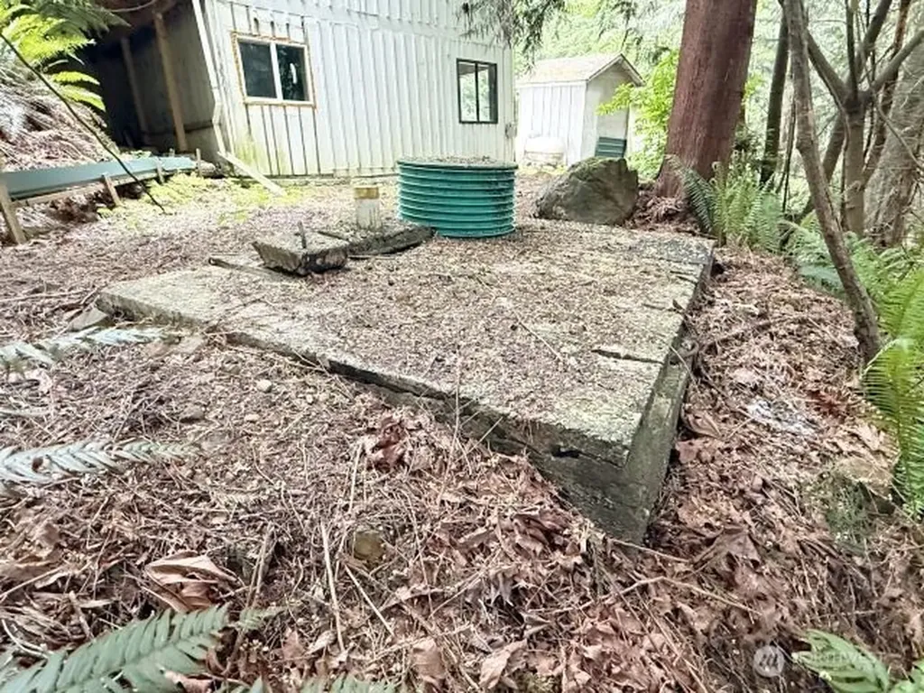 110 Trailwood Drive Brinnon WA 98320