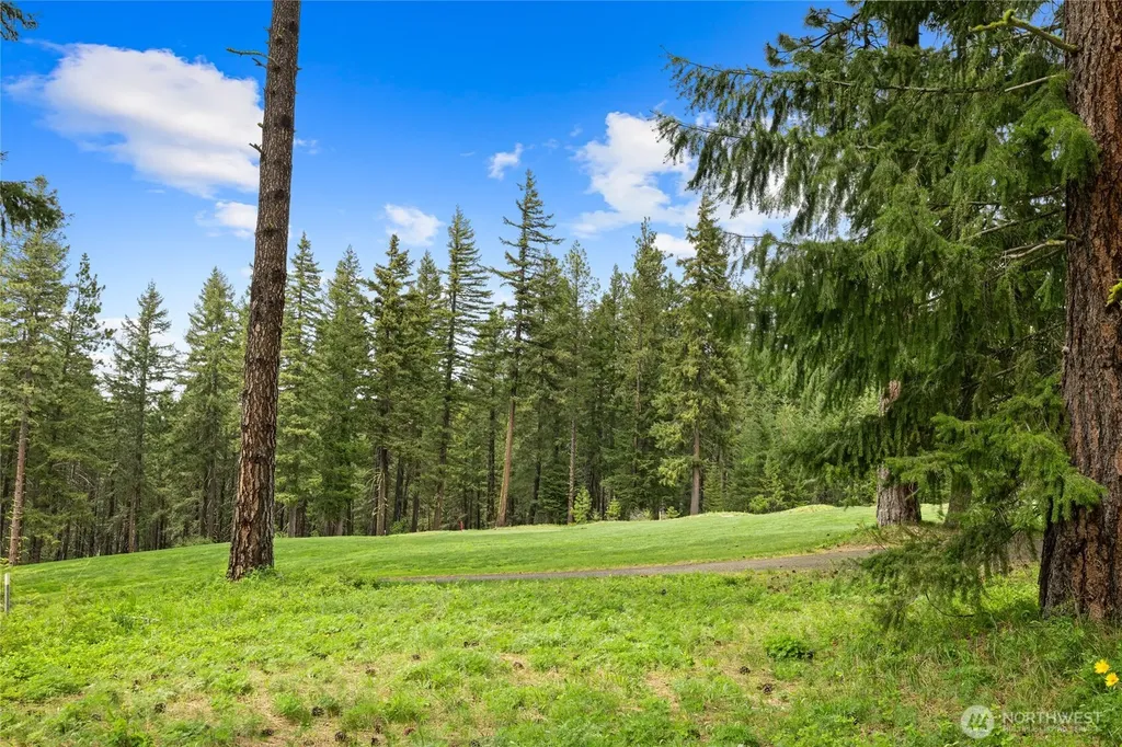 261 Maple Leaf Loop Cle Elum WA 98922