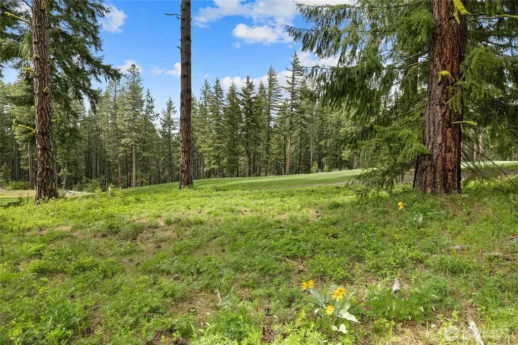 261 Maple Leaf Loop Cle Elum WA 98922