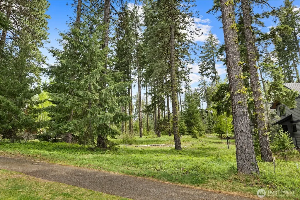 261 Maple Leaf Loop Cle Elum WA 98922