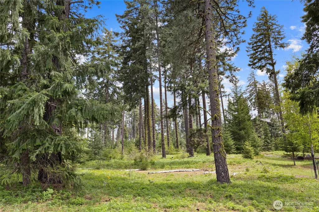 261 Maple Leaf Loop Cle Elum WA 98922