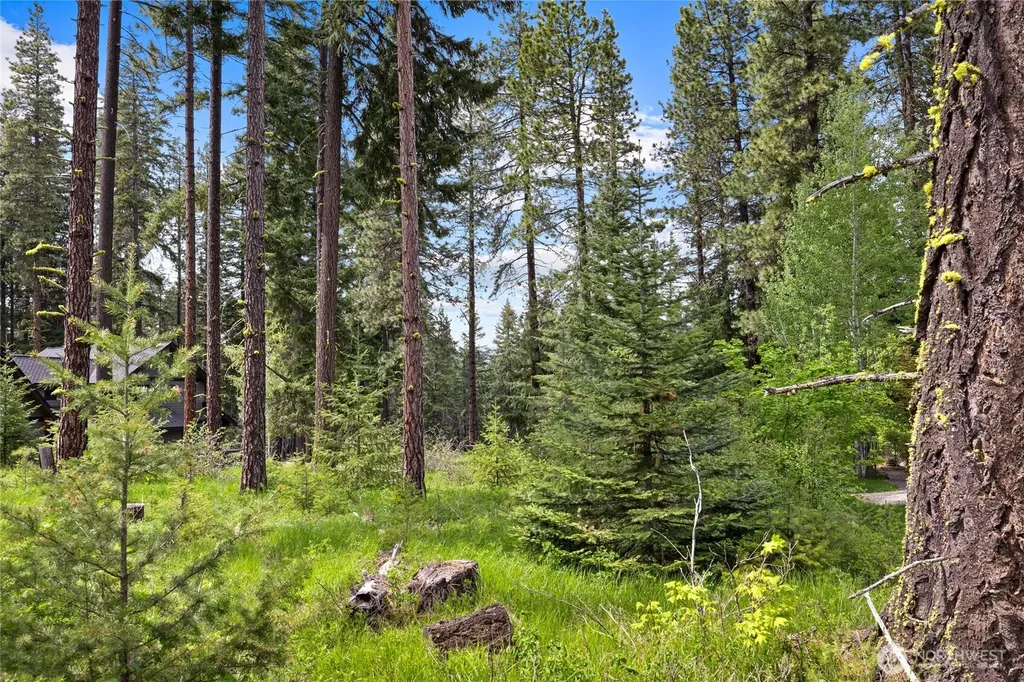 261 Maple Leaf Loop Cle Elum WA 98922