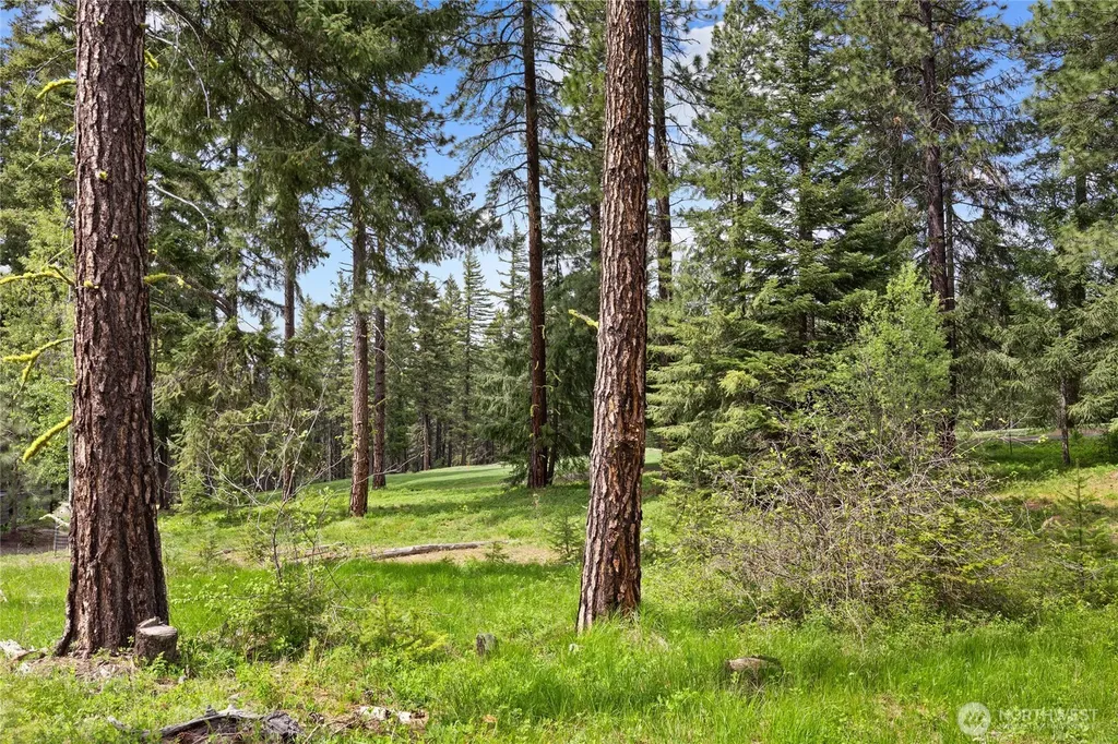 261 Maple Leaf Loop Cle Elum WA 98922