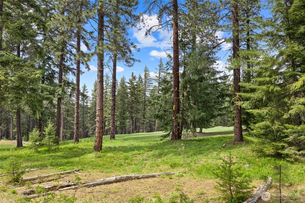 261 Maple Leaf Loop Cle Elum WA 98922
