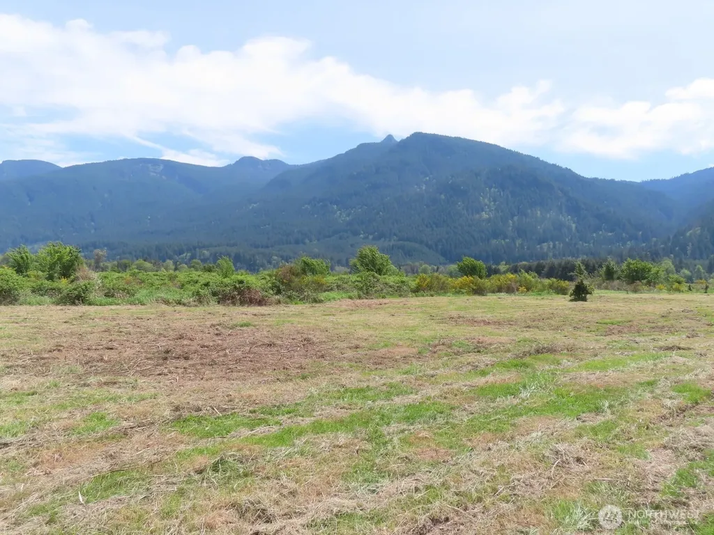 295 River Ranch Road Randle WA 98377