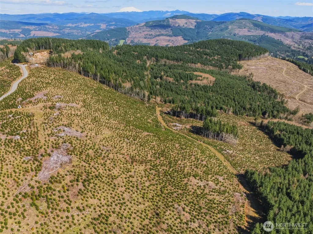 0 Hamilton Heights Kelso WA 98626
