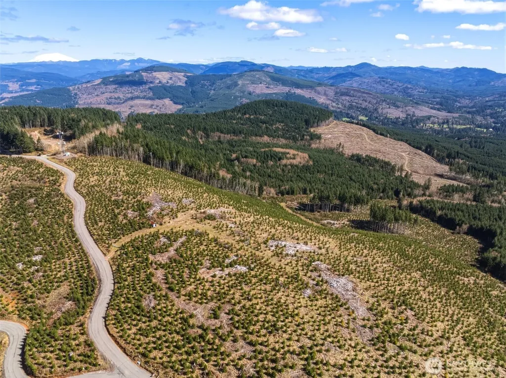 0 Mt Brynion Road Kelso WA 98626