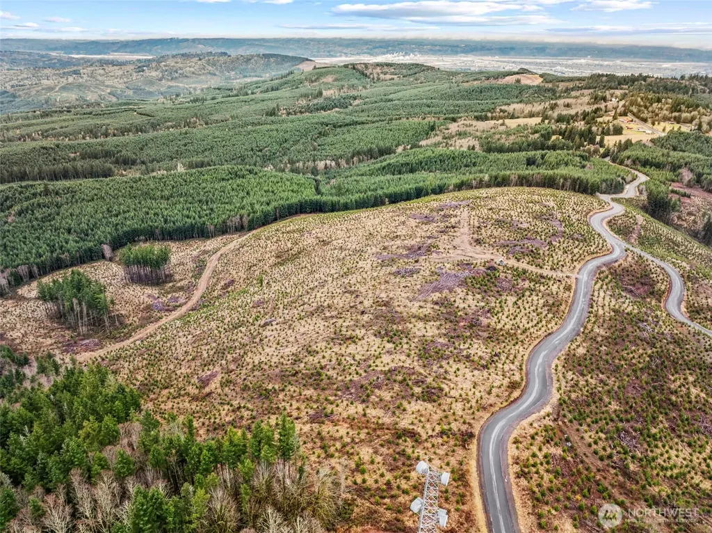 0 Mt Brynion Road Kelso WA 98626