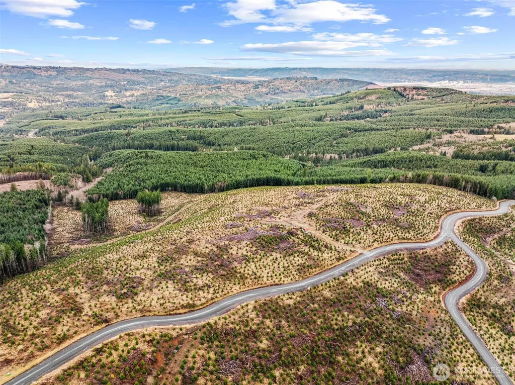 0 Mt Brynion Road Kelso WA 98626