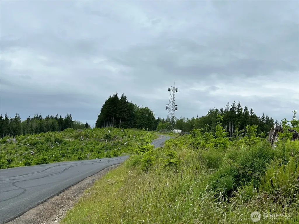 0 Mt Brynion Road Kelso WA 98626