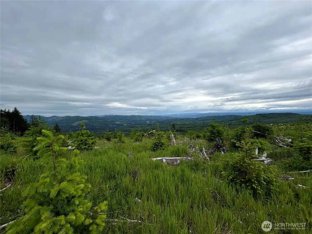 0 Mt Brynion Road Kelso WA 98626