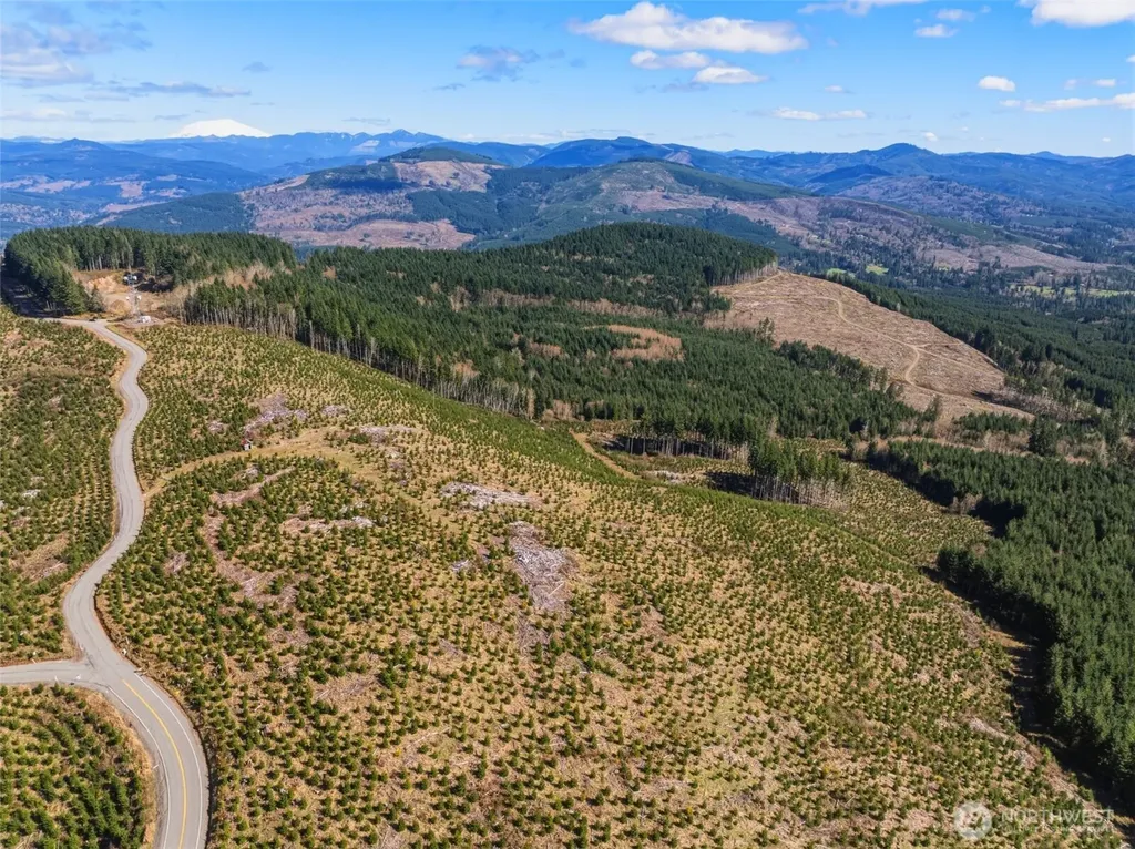 0 Mt Brynion Road Kelso WA 98626