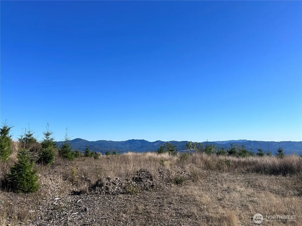 0 Mt Brynion Road Kelso WA 98626