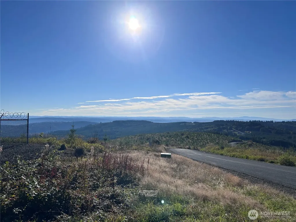 0 Mt Brynion Road Kelso WA 98626