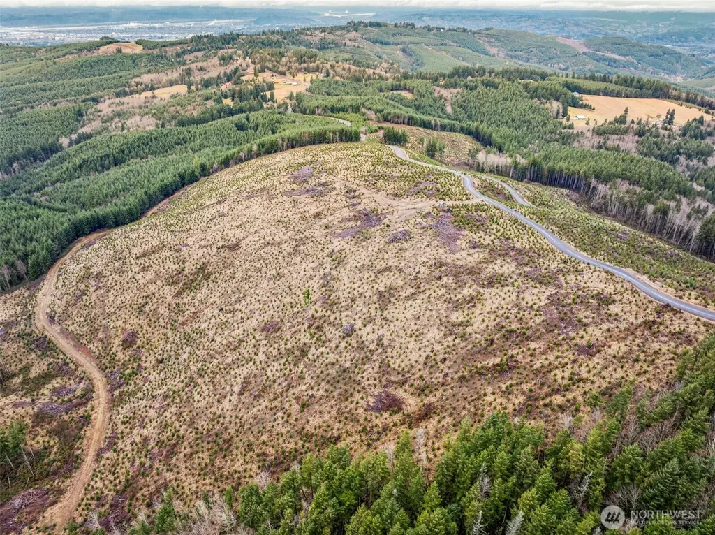 0 Mt Brynion Road Kelso WA 98626