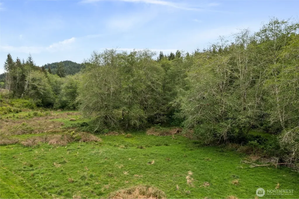 0 Elk Creek Road Raymond WA 98577