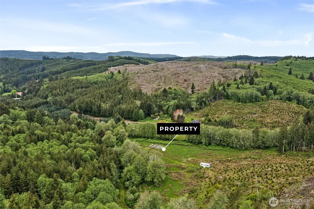 0 Elk Creek Road Raymond WA 98577