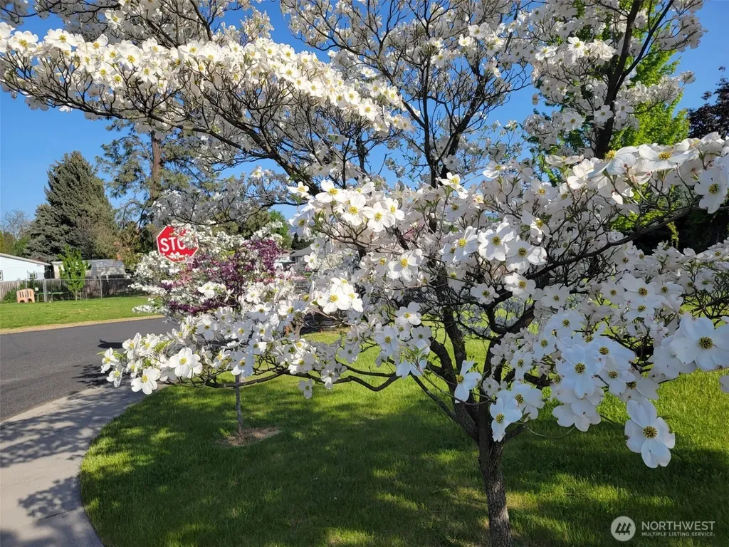 1388 Crystal Court Walla Walla WA 99362