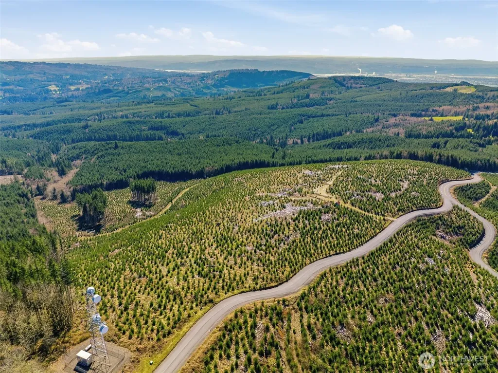 0 Mt Brynion Road Kelso WA 98632