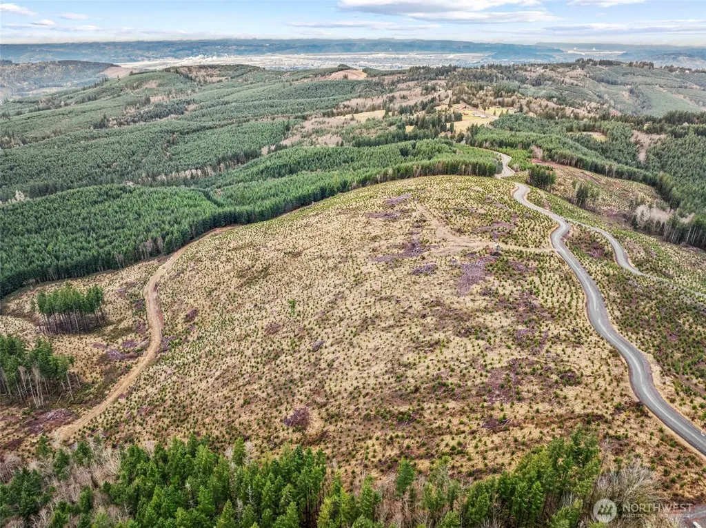 0 Mt Brynion Road Kelso WA 98632