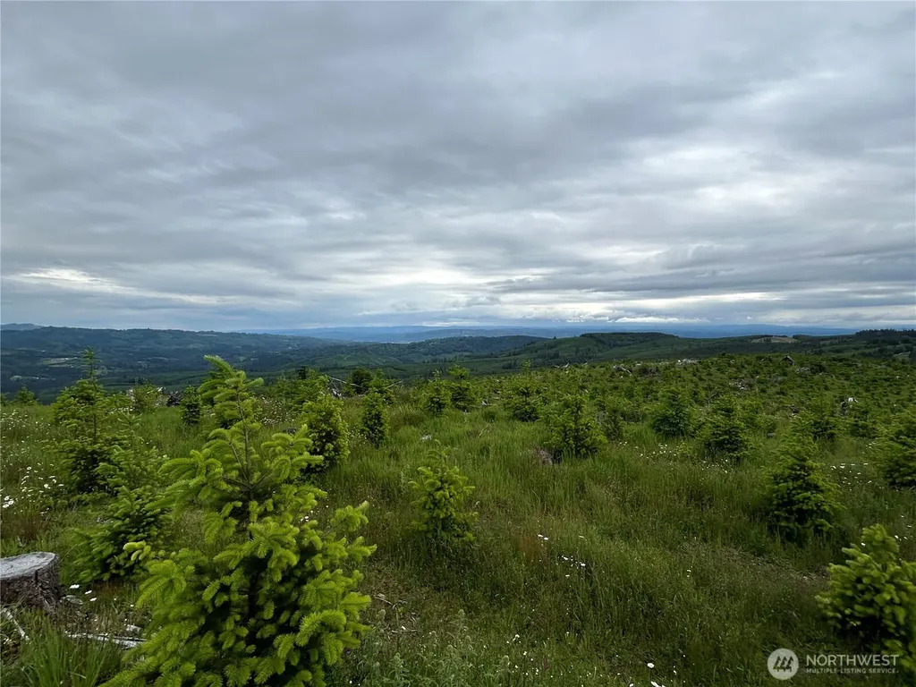 0 Mt Brynion Road Kelso WA 98632