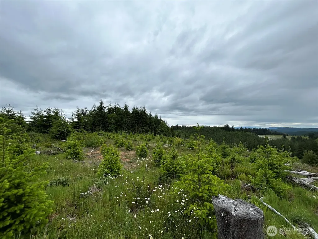 0 Mt Brynion Road Kelso WA 98632