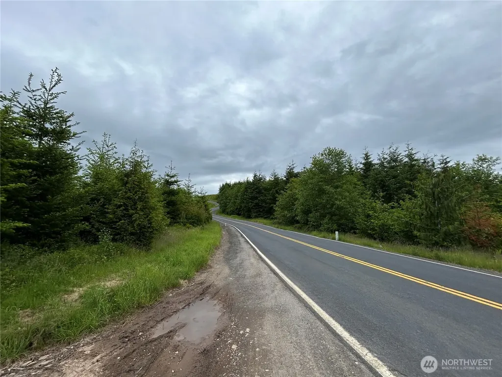 0 Mt Brynion Road Kelso WA 98632
