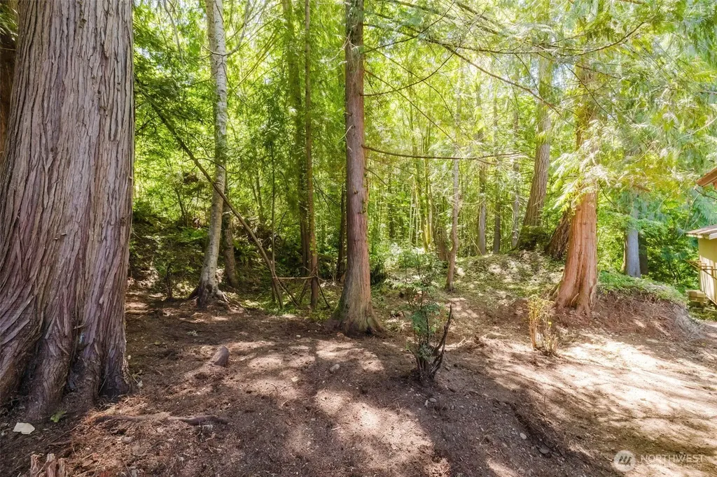 150 E Cedar Street Belfair WA 98528