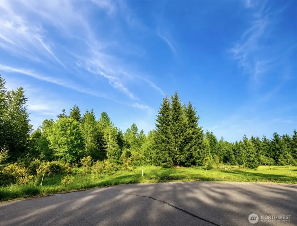 15312 Sunnyside Lane SE Yelm WA 98597