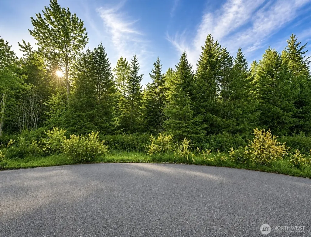15331 Sunnyside Lane SE Yelm WA 98597