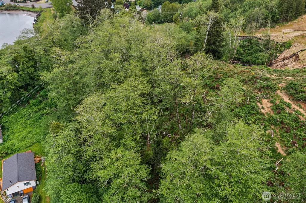0 Jefferson Street Raymond WA 98577