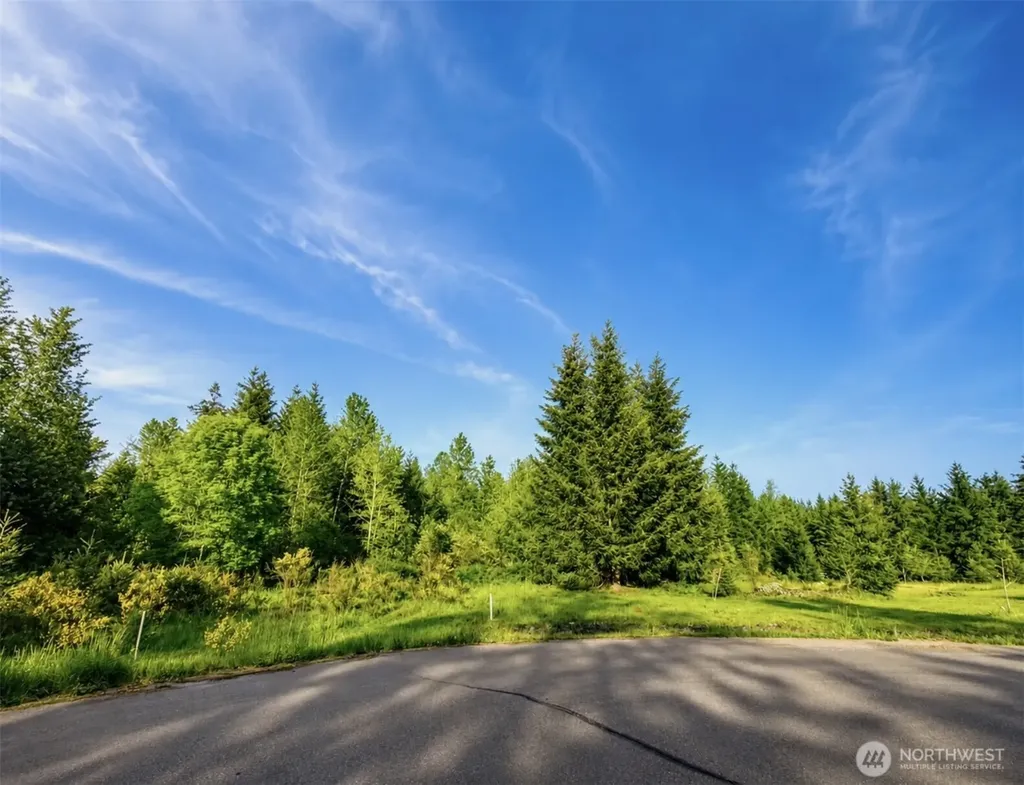 15313 Sunnyside Lane SE Yelm WA 98597