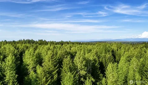 15313 Sunnyside Lane SE Yelm WA 98597