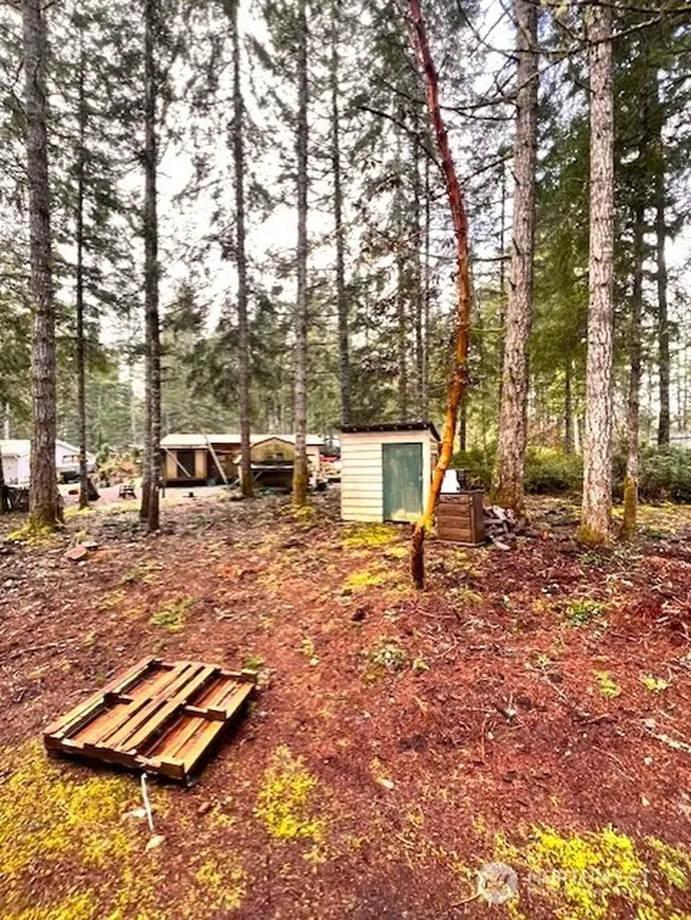 61 NE Madrona Court Tahuya WA 98588