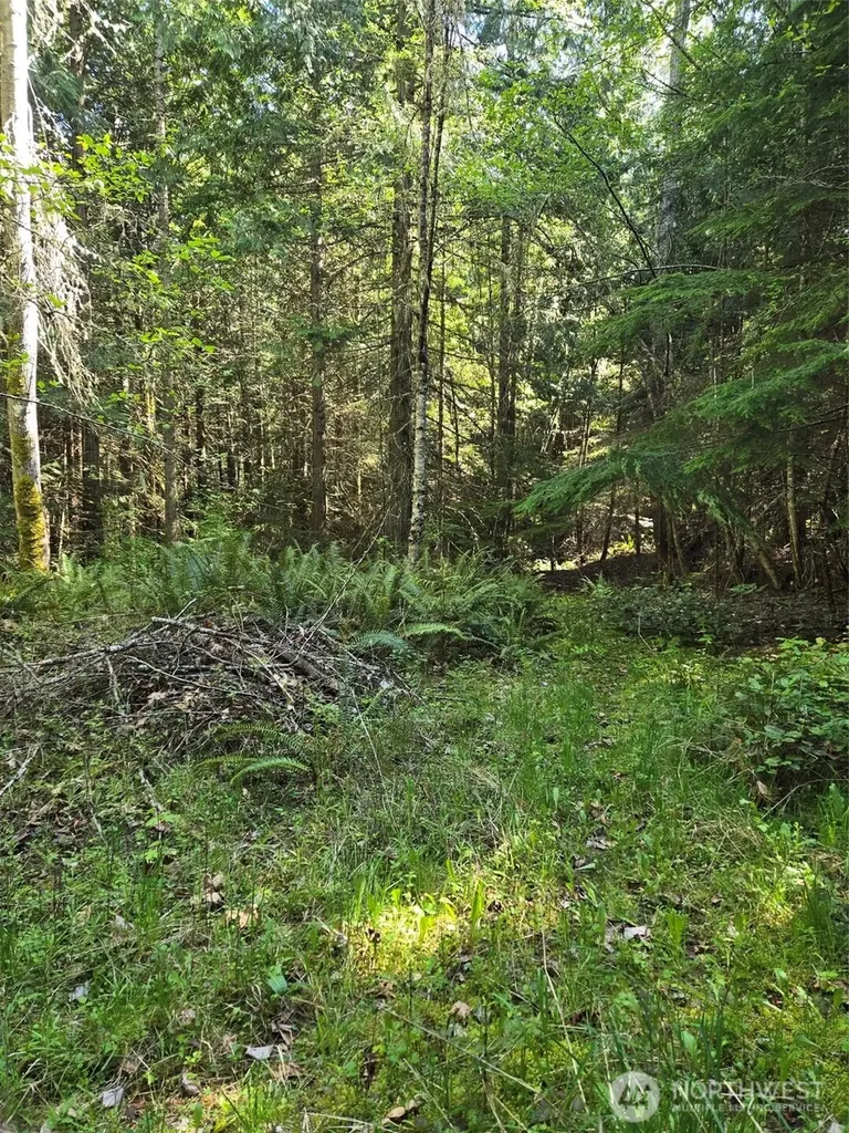 146 Humble Hill Road Sequim WA 98382