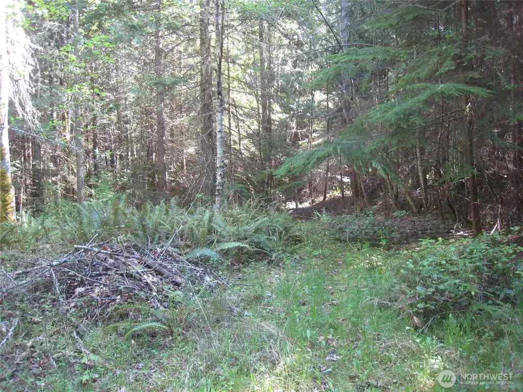 146 Humble Hill Road Sequim WA 98382