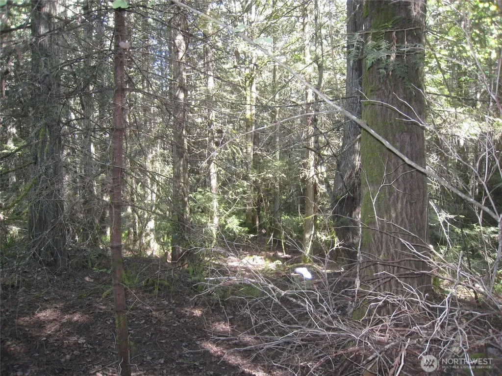 146 Humble Hill Road Sequim WA 98382