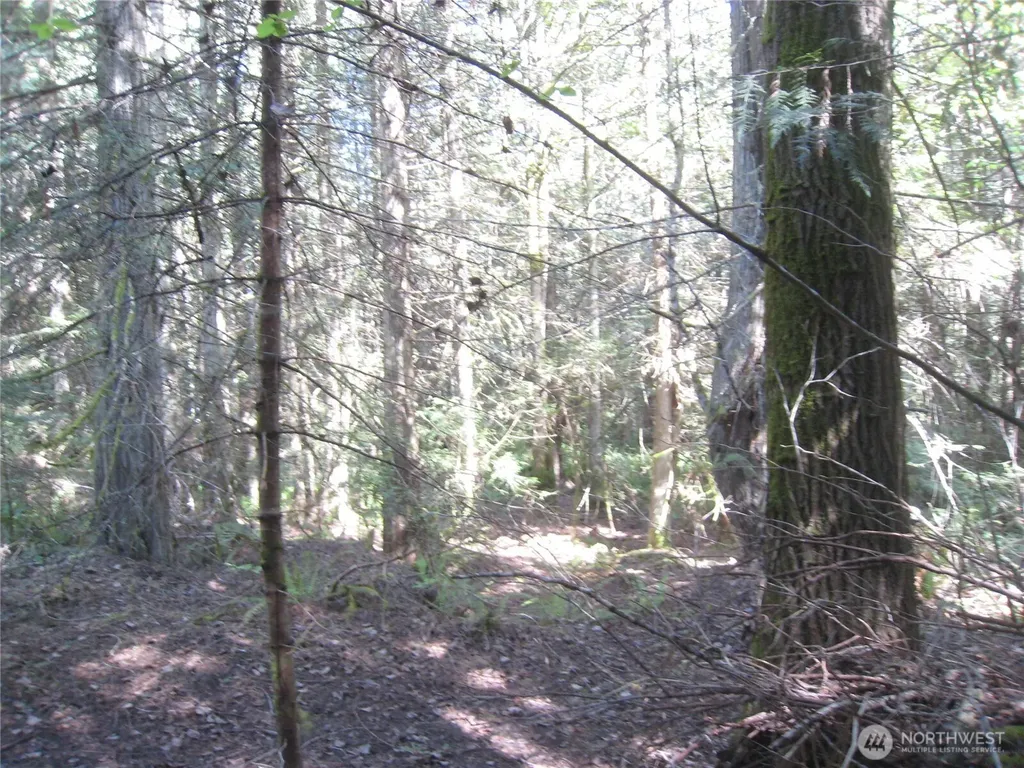 146 Humble Hill Road Sequim WA 98382