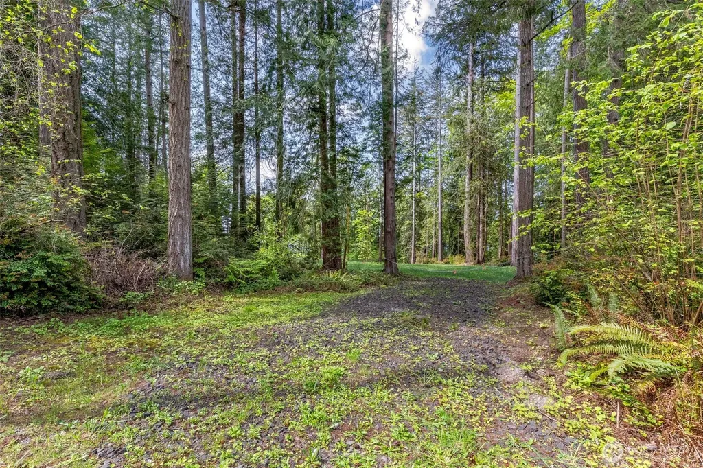 13502 Goodnough Drive NW Gig Harbor WA 98332