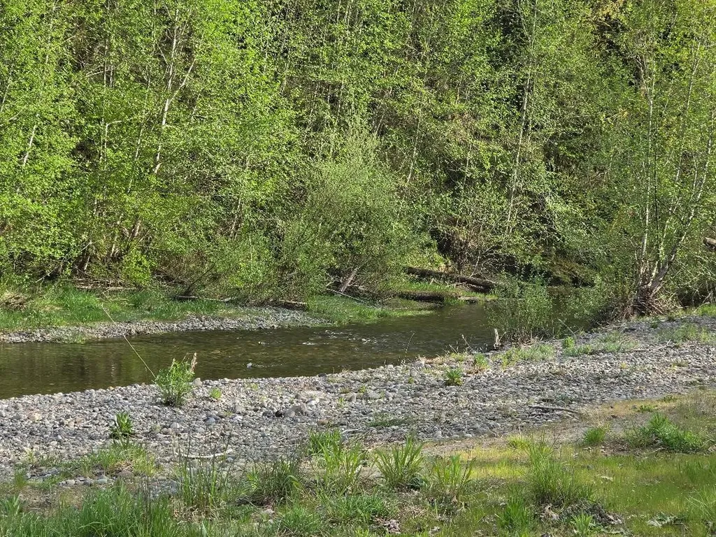 140 NE Evergreen Drive Tahuya WA 98588