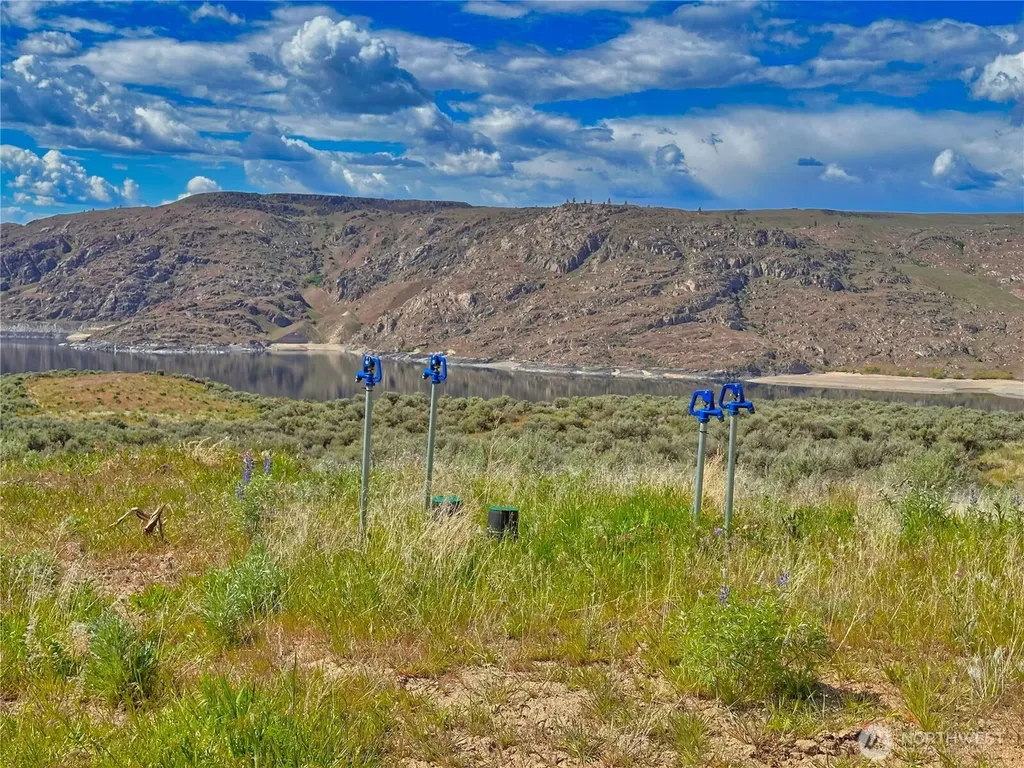 46020 Arrowleaf Canyon Drive N Grand Coulee WA 99133