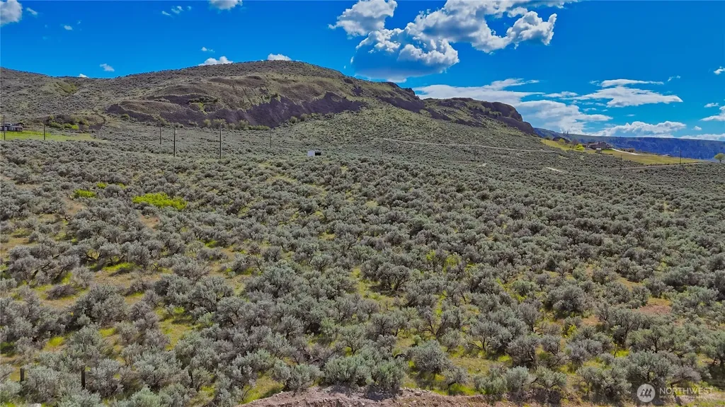 46230 Arrowleaf Canyon Drive N Grand Coulee WA 99133