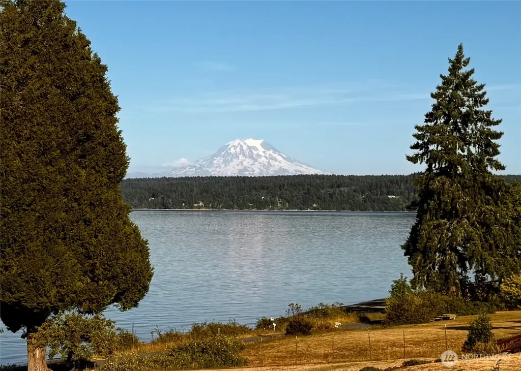 10601 87th Street Court Anderson Island WA 98303