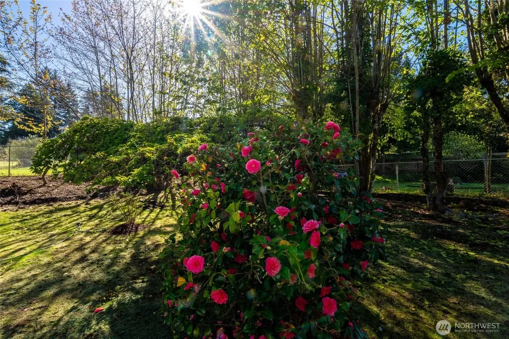 3002 Lakeway Drive Bellingham WA 98229