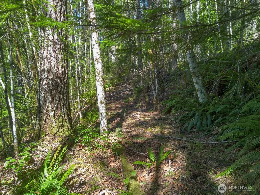 0 N Lake Cushman Road Hoodsport WA 98548